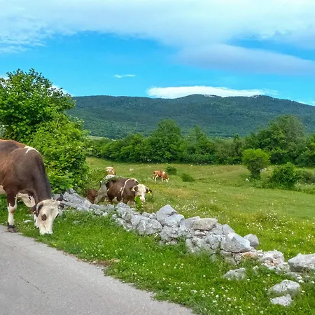 Nyaraló Carski Raj